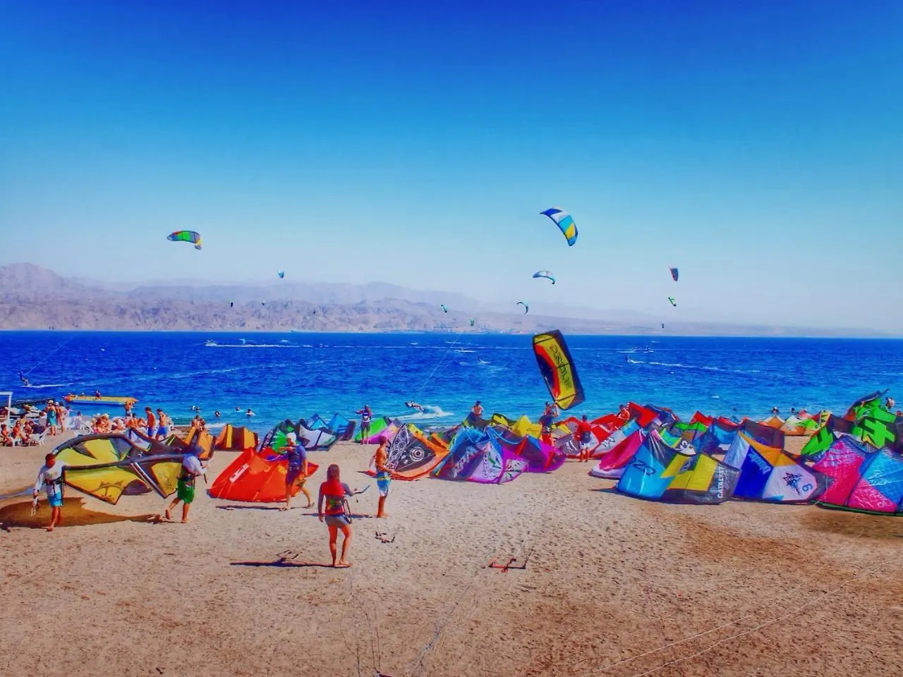 דאוס האוס - דירות אירוח מודרניות ושקטות Eilat
