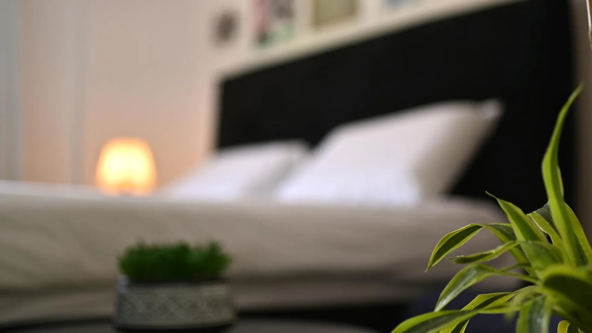 Apartman דאוס האוס - דירות אירוח מודרניות ושקטות Eilat